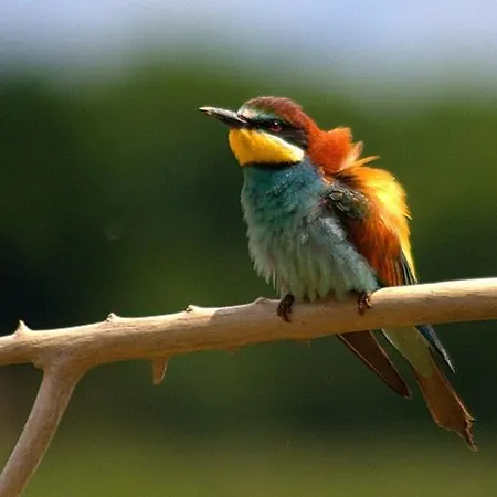 Isola Della Cona - Riserva Naturale Foce Dell'isonzo Гостевой дом