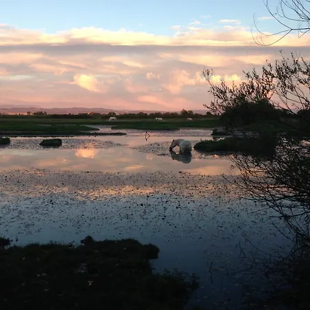 Гостевой дом Isola Della Cona - Riserva Naturale Foce Dell'isonzo Staranzano